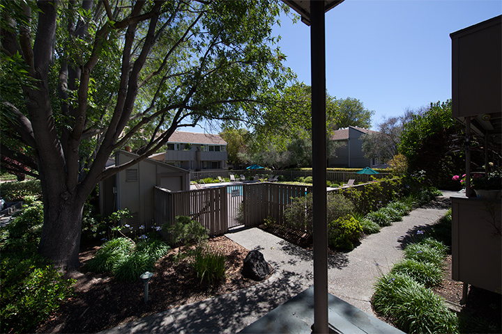 Balcony View picture - 2452 W Bayshore Rd, Unit 5, Palo Alto 94303