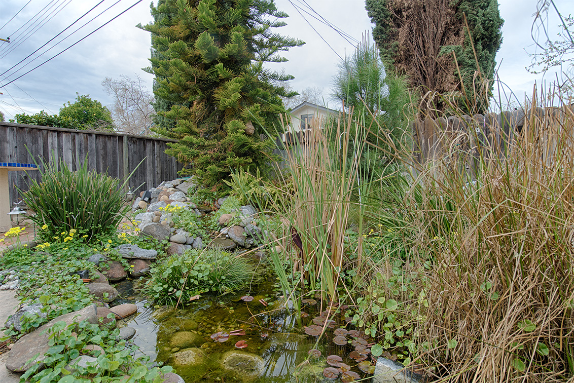Pond (A) Picture - 3493 Golden State Dr, Santa Clara 95051 Pond (A) picture - 3493 Golden State Dr, Santa Clara 95051