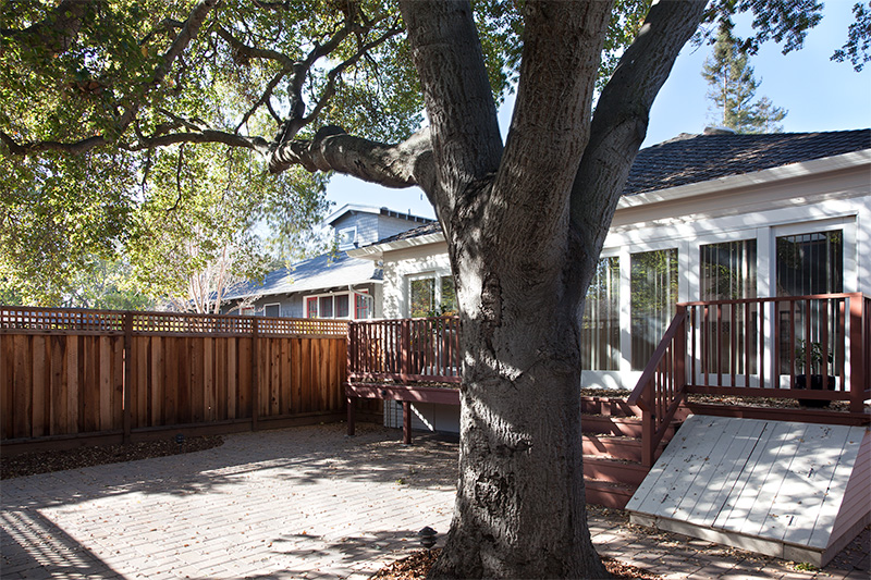 Backyard (A) picture - 424 Homer Ave, Palo Alto 94301