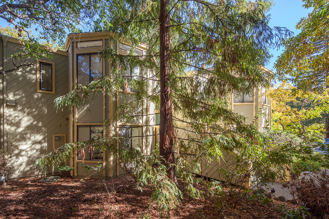 620 Mariposa Ave 3 - Mountain View