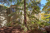 620 Mariposa Ave 3, Mountain View 94041 - Mariposa Ave 620 3 