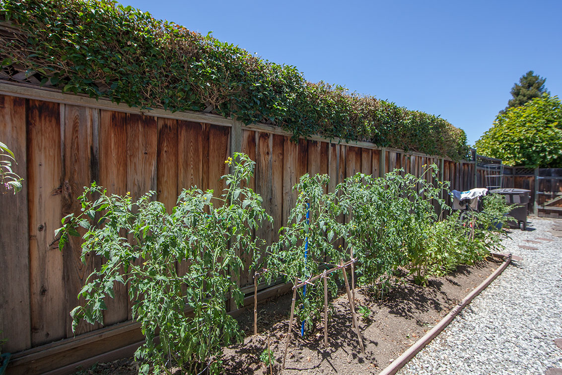 Side Yard (A) picture - 1705 Morgan St, Mountain View 94043