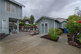 83 Orchard Ave, Redwood City 94061 - Backyard (A)