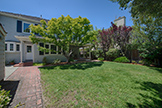 3713 Ortega Ct, Palo Alto 94303 - Backyard (A)