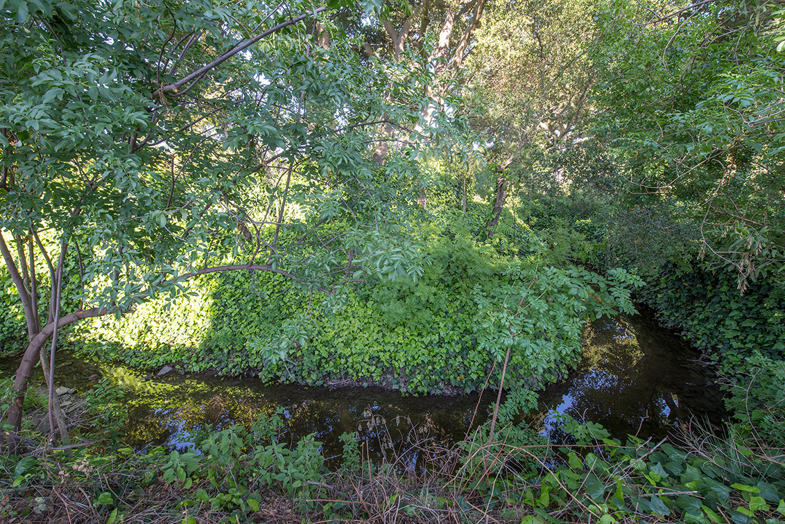 Creek (A) Picture - 881 Parma Way, Los Altos 94024 Creek (A) picture - 881 Parma Way, Los Altos 94024
