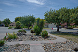 5589 Portsmouth Ave, Newark 94560 - Front Yard (A)
