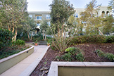 600 S Abel St 223, Milpitas 95035 - Courtyard (A)