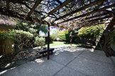 519 Saint Claire Dr, Palo Alto 94306 - Patio (A)
