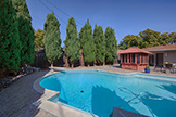 3010 South Ct, Palo Alto 94306 - Backyard (B)