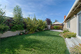 651 Spruce Dr, Sunnyvale 94086 - Backyard (A)