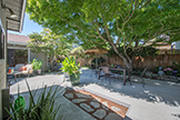 4237 Suzanne Dr, Palo Alto 94306 - Back Yard (C)
