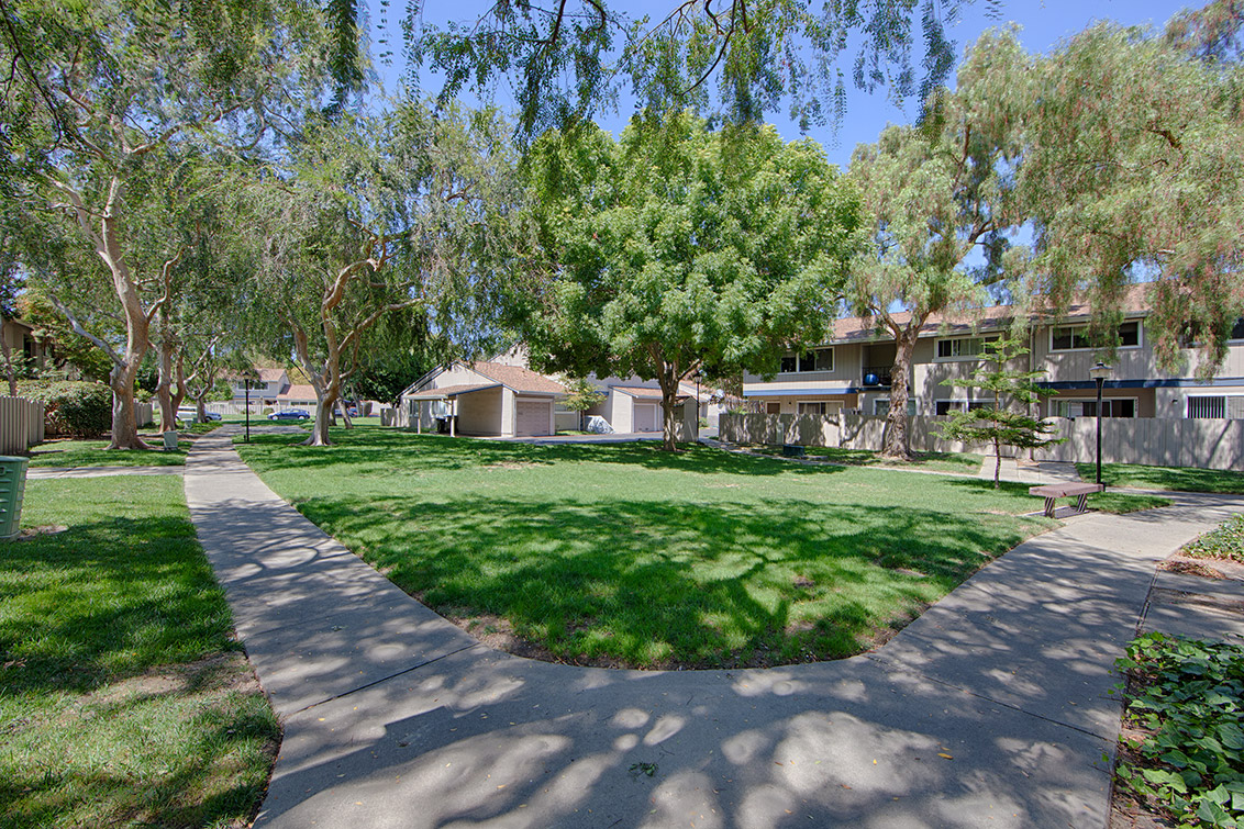 533 Winterberry Way - San Jose