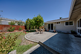 995 Aster Ave, Sunnyvale 94086 - Backyard (A)