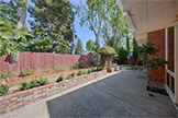 731 Barron Ave, Palo Alto 94306 - Backyard (A)