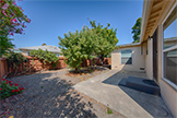 1343 Camellia Dr, East Palo Alto 94303 - Backyard (A)