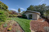907 Clara Dr, Palo Alto 94303 - Backyard (A)