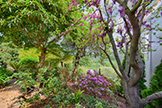 56 El Rey Rd, Portola Valley 94028 - Garden Path (B)