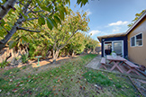 1796 Elsie Ave, Mountain View 94043 - Backyard (A)