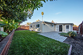 1908 Fillmore St, Santa Clara 95050 - Backyard (A)