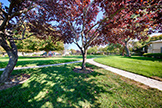2116 Galveston Ave #D, San Jose 95122 - Common Area (A)