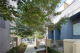 3702 Heron Way, Palo Alto 94303 - Heron Way 3702 (B)