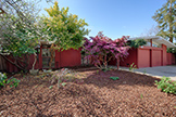 3464 Janice Way, Palo Alto 94303 - Front Yard (A)