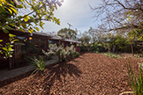 3464 Janice Way, Palo Alto 94303 - Yard (C)