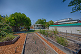 231 Lambert Ave, Palo Alto 94306 - Backyard (A)