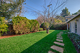 3229 Morris Dr, Palo Alto 94303 - Backyard (C)