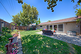 1543 Oriole Ave, Sunnyvale 94087 - Backyard (A)
