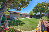 1543 Oriole Ave, Sunnyvale 94087 - Backyard (B)