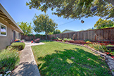 1543 Oriole Ave, Sunnyvale 94087 - Backyard (C)