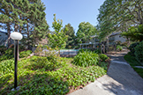 411 Piccadilly Pl #5, San Bruno 94066 - Swimming Pool 2 (A)