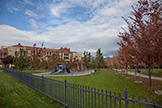 800 S Abel St #205, Milpitas 95035 - Adjacent Park (A)