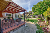 639 Spruce Dr, Sunnyvale 94086 - Backyard (A)
