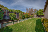 639 Spruce Dr, Sunnyvale 94086 - Side Yard (A)