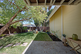 2526 W Middlefield Rd, Mountain View 94043 - Backyard (A)