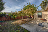 1343 Camellia Dr, East Palo Alto 94303 - Backyard (A)