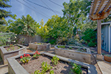 740 Coastland Dr, Palo Alto 94303 - Backyard (A)