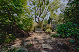 740 Coastland Dr, Palo Alto 94303 - Backyard (B)