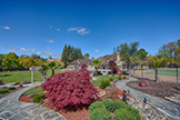 15096 Danielle Pl, Monte Sereno 95030 - Backyard (C)