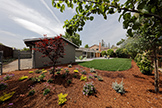 1021 E Rose Cir, Los Altos 94024 - Backyard (A)