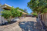 3916 Louis Rd, Palo Alto 94303 - Backyard (A)