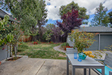 1613 Mariposa Ave, Palo Alto 94306 - Back Yard (A)