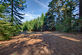 1 Quail Ct, Woodside 94062 - Garden Area (A)