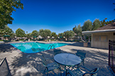 255 S Rengstorff Ave #51, Mountain View 94040 - Pool (A)