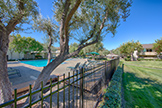 255 S Rengstorff Ave #51, Mountain View 94040 - Pool (B)