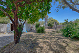 1320 Sevier Ave, Menlo Park 94025 - Backyard (A)