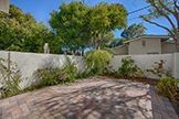 251 Sierra Vista Ave, Mountain View 94043 - Patio (A)