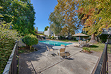 251 Sierra Vista Ave, Mountain View 94043 - Pool (A)